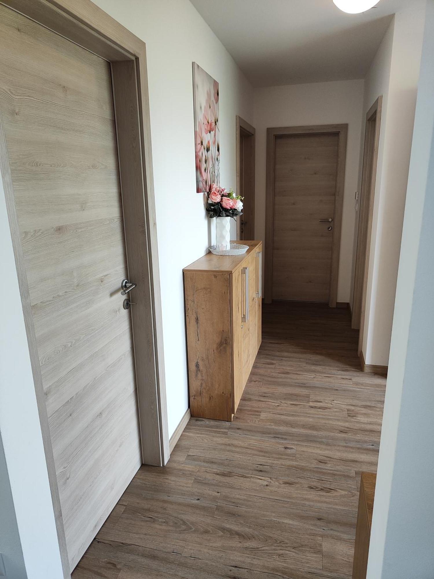 Family Apartment Moravske Toplice Exteriér fotografie